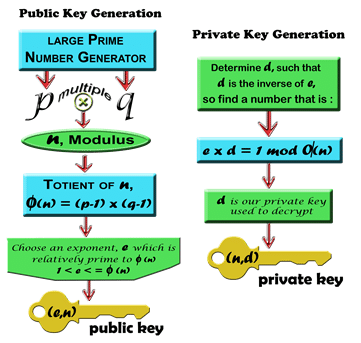 Rsa key generation program